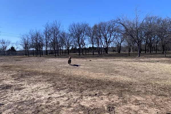 Norman Community Dog Park at Griffin Park
